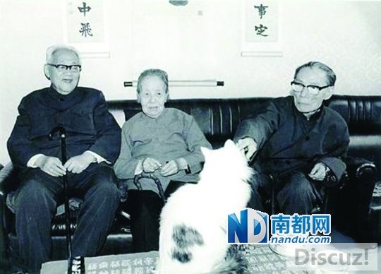 f19130352a8db0f19853£ͽڱϯڼ俴ѱģ.jpg
