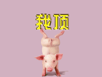.gif