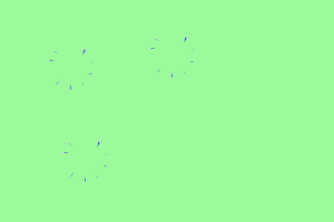 6.gif