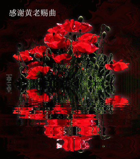 23163386_6_.bmp