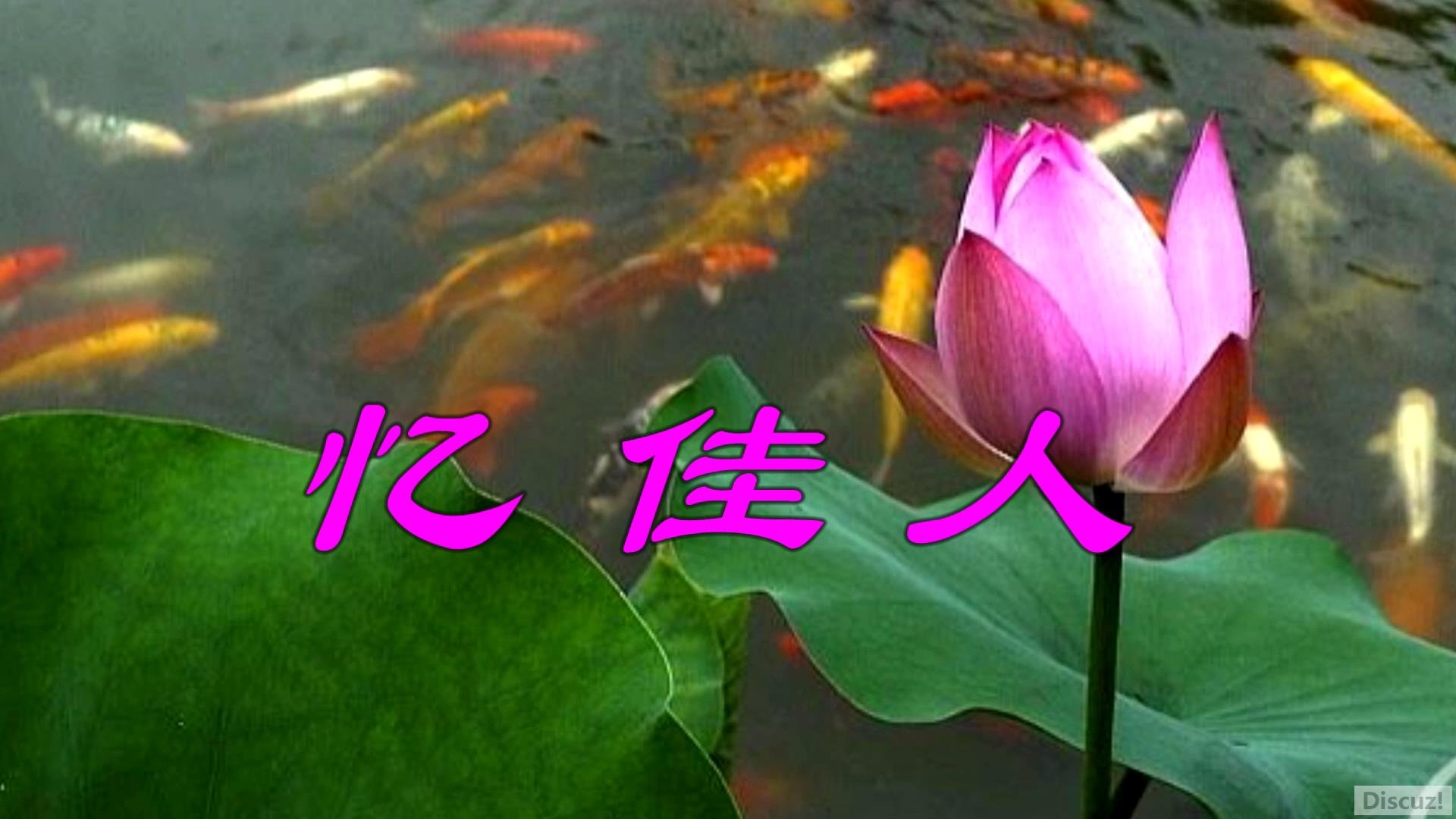 1 һ_20159820393.JPG