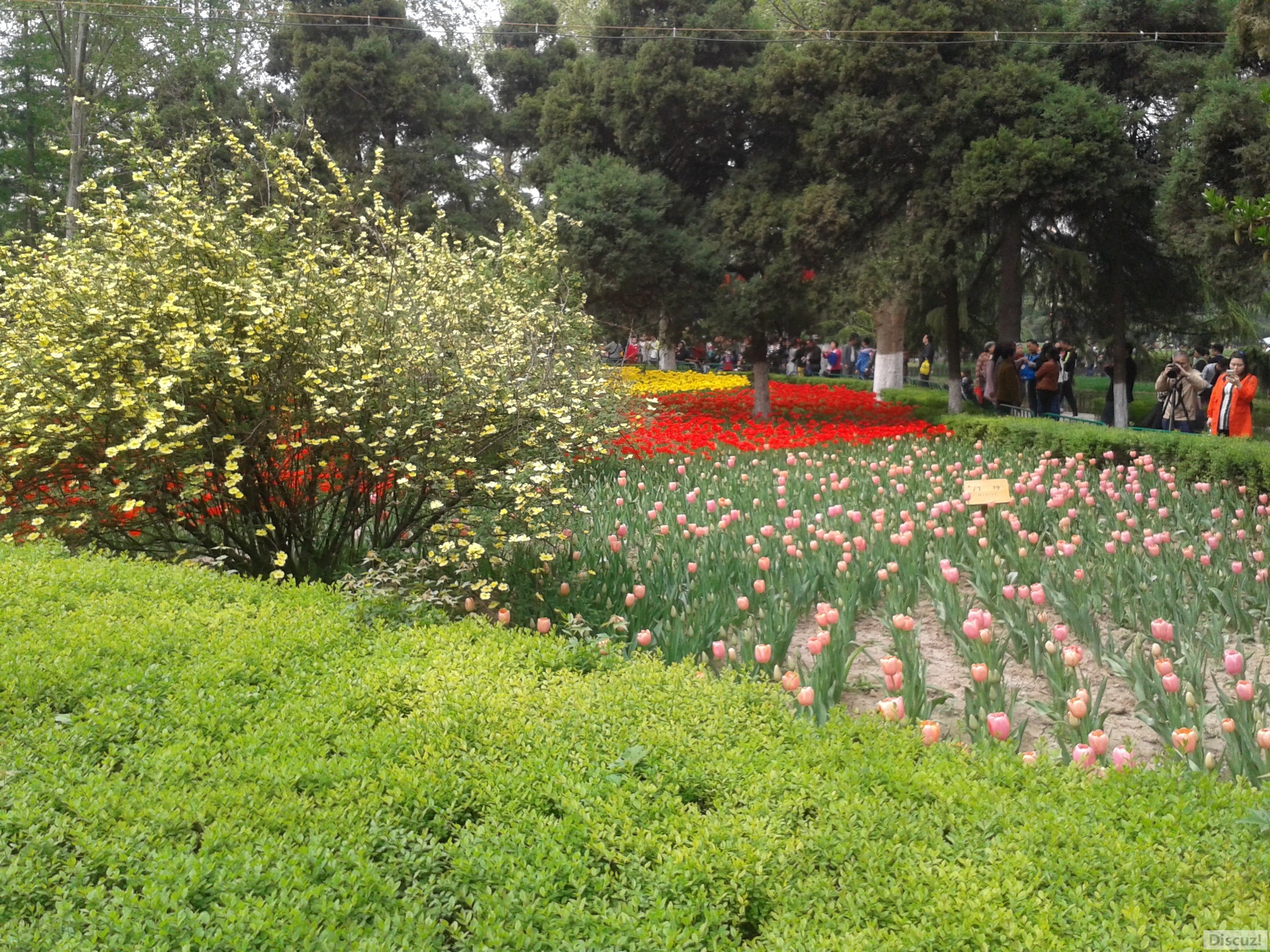20160410_104153.jpg