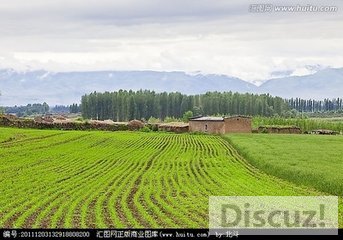 t01adb1dcf0cd86cc1b.jpg