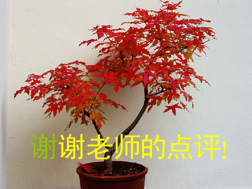 065308re9hu7kxh2kmhh79.gif