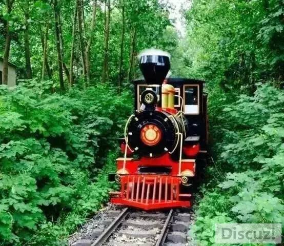 2345_image_file_copy_1 (6).jpg