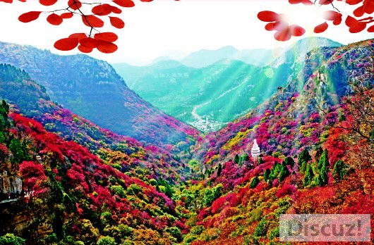 2345_image_file_copy_1 (5).jpg