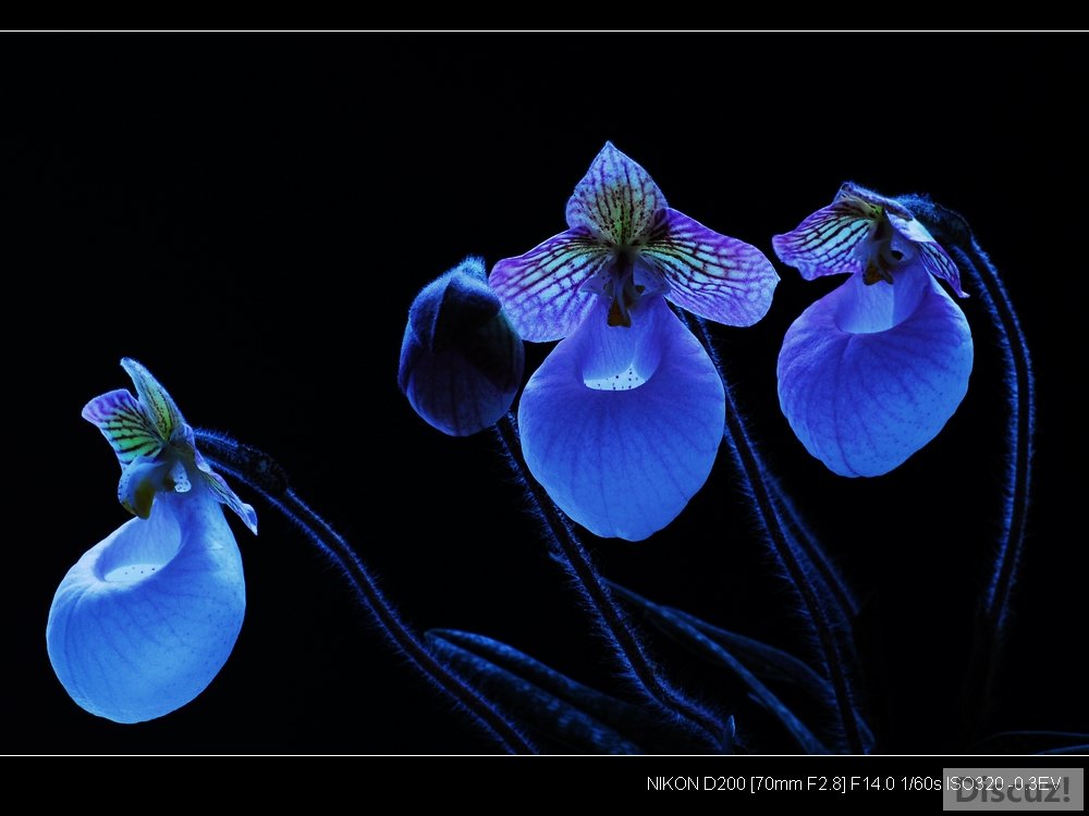 ����֮�绷��