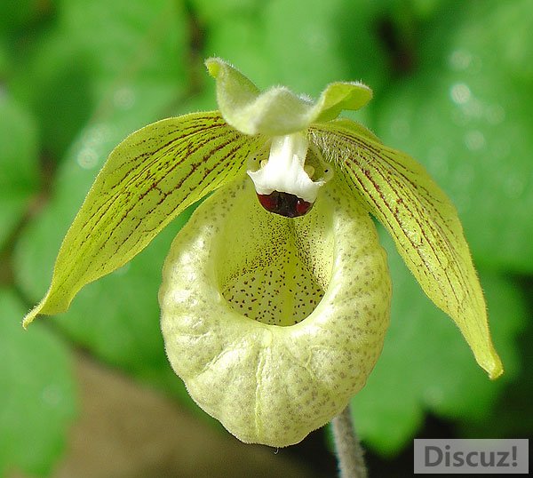 ����֮�绷��