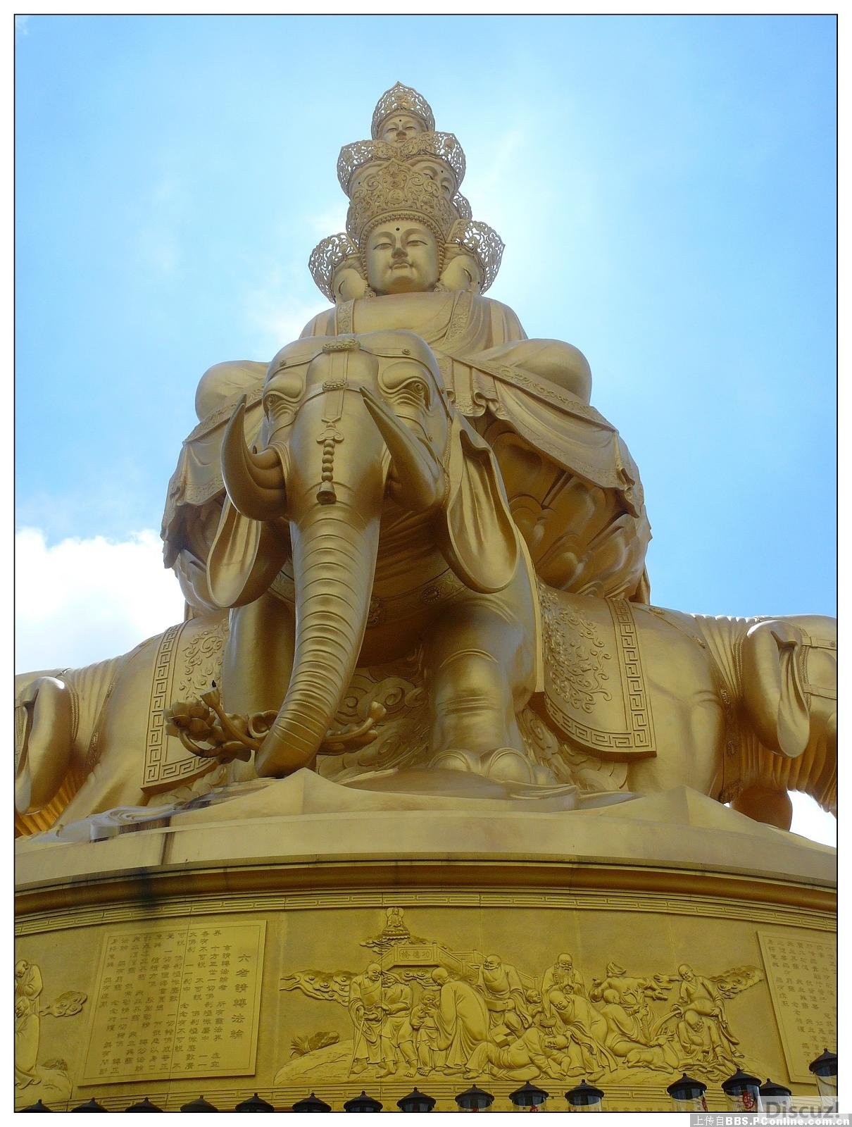 ��üɽ�������