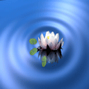 9164065740134917.gif