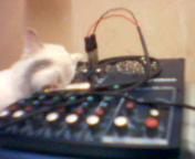 Ƭ 004.jpg