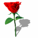 9679_200591320374464978.gif