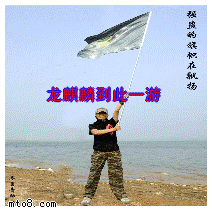 308.gif
